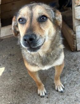 Süße und freundliche ANNA! - Korschenbroich