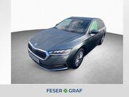 Skoda Octavia, 1.0 TSI Combi Ambition NA, Jahr 2021 - Schwabach