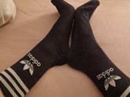 Getragene Tennissocken von Adidas schwarz - Gütersloh