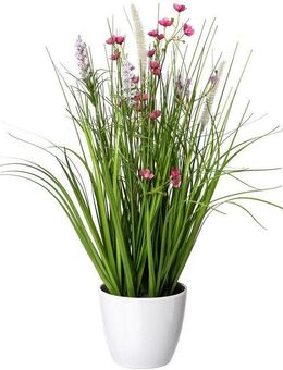 Kunstgras Blüten-Gras-Mix, Creativ green, Höhe 46 cm, in weißer Kunststoffschale