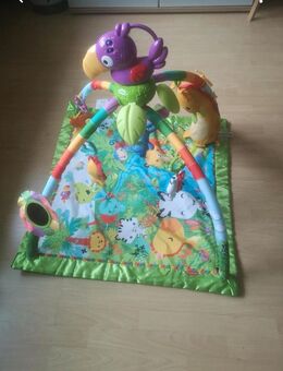 Fisher Price Spielbogen - Essen