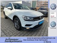 VW Tiguan, 2.0 TSI Panodach, Jahr 2017 - Werne