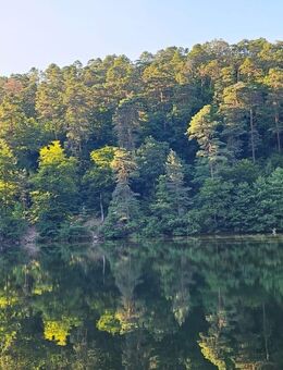 Urlaubspartnerin gesucht .. welche sie..?? - Herxheim (Berg)