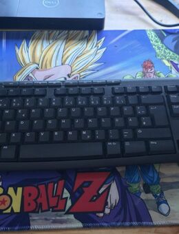 Funkmaus und Funktastatur (Gebraucht, Neuwertig.) - Ronneburg (Hessen)