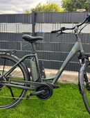 Damen E-Bike Neuwertig 228km Bosch Motor in 06258
