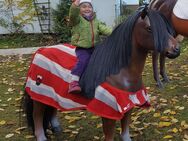 Deko Shetland Pony, "Alisha", Kutschpony, 162cm, belastbar bis 100kg, Kunsthaare, HAEIGEMO, HORSE, PFERD Artikel-Nr.: 2952 - Heidesee