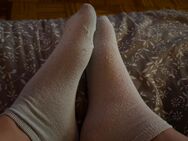 Lecker riechende Socken suchen neues Zuhause - Hamburg