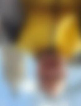 Fra*** - Prien (Chiemsee)