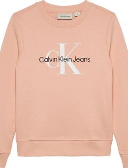 Calvin Klein Jeans Sweatshirt CK Monogram Terry Cn für Kinder bis 16 Jahre und mit Logodruck