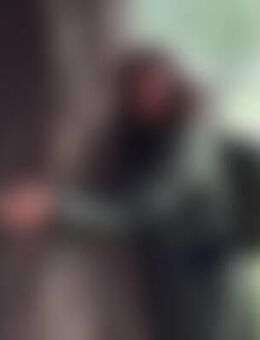 Ady*** - Wernigerode