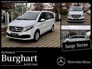 Mercedes V 250, d EDITION Lang Fahrassistenz Burmester, Jahr 2023 - Altötting