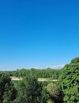 3 Zimmer ETW mit 98 qm in Lindenhof/Rheinpromenade in 1. Reihe mit freiem Blick auf den Rhein - Mannheim