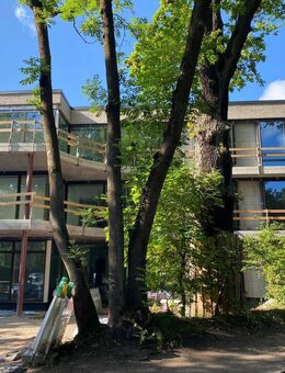 traumhaftes 5-6 Zimmer Wohnung, 1. OG - nähe internationaler Schule- Neubau, ab 1. 9. - Hamburg