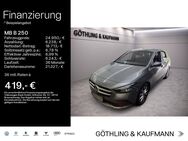 Mercedes B 250, Progressive, Jahr 2019 - Hofheim (Taunus)