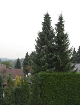 Einzimmerwohnung mit Weitblick - Overath