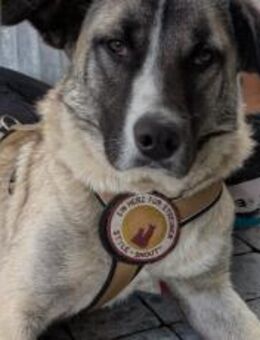 Bezaubert dich der hübsche Zac? - München