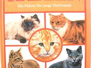 Buch - Katzen Ein Führer für junge Tierfreunde - Ravensburger - gut erhalten - Biebesheim (Rhein)