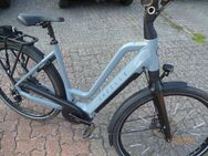E-Bike Gazelle - Burgwedel