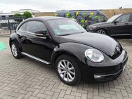 VW New Beetle Club 2.0, OMA AUTO,1HD,KLIMA,NAVI,SIT - Alsdorf (Nordrhein-Westfalen)