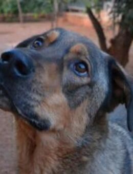 Alf - Wer schaut hinter die Fassade? - Mettmann