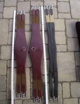 Sattelgurt Leder 80 und 90 cm rotbraun anatomisch - Bad Lausick