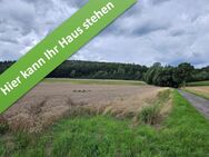 Familienleben auf einer Ebene im kommenden Baugebiet in Wehrstedt. - Bad Salzdetfurth