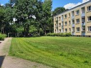 Frisch renovierte 3-Zimmer- Wohnung in Ammersbek - Ammersbek