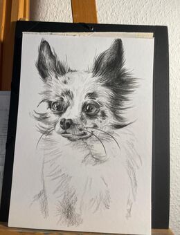 Tierporträt I Karikatur I Schnellzeichnung - Dresden