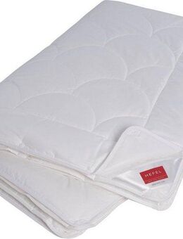 Hefel 4-Jahreszeitenbett Edition 101, Bettdecke für Sommer und Winter, Füllung: 100% Naturfaser TENCEL™, Bezug: Baumwolle, Bettdecke in 135x200 cm, 155x220 cm und weiteren Größen
