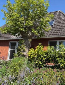 Der Nordsee ganz nah! - Uelvesbüll