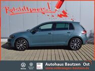 VW Golf, 1.0 TSI VII 116 IQ Drive PLUS-PAKET, Jahr 2019 - Bautzen Zentrum