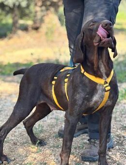 Naturverbundene agile FLORA - Völklingen