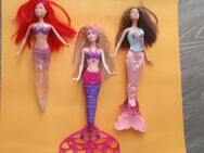Verkaufe Barbie Puppen (auch einzeln) - Neustadt (Coburg)
