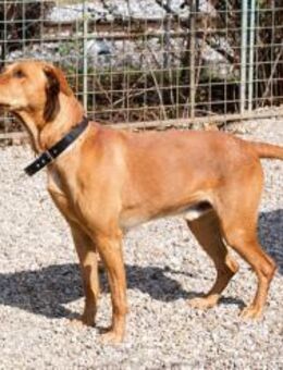 NOUGAT - na ordentlich Bewegung ist cool - Overath