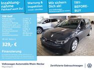 VW Golf, 1.0 TSI VIII Life Gar 2029, Jahr 2024 - Mannheim