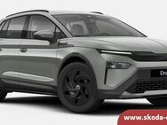 Skoda Elroq, 50 TOUR, Jahr 2022 - Dresden