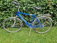 McKenzie Travel 200 Trekking Fahrrad RH 52 cm, 21-Gang Shimano - Mülheim (Ruhr)