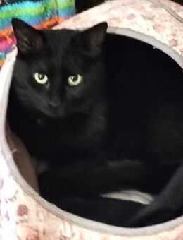 Baghira - Weilmünster