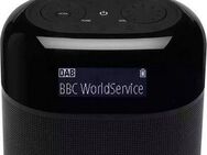 JBL Tuner XL Radio (Digitalradio (DAB), 10 W, Bluetooth)
