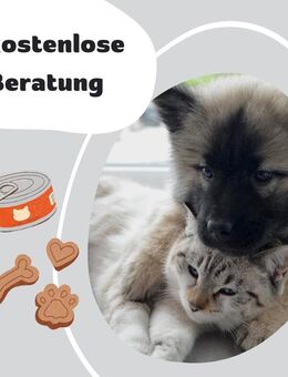 kostenlose Beratung zum Futter bei Hunden und Katzen - Duisburg