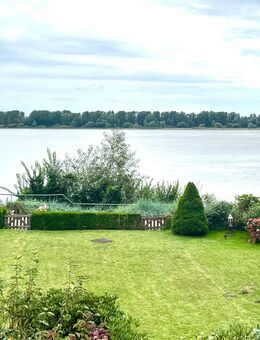 Traumblick auf die Elbe - Wedel
