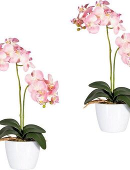 Kunstpflanze Phalaenopsis Orchidee, Creativ green, Höhe 50 cm