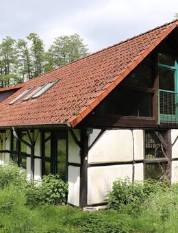 Verwirklichen Sie hier Ihren Traum vom Wohnen im Grünen und fast ohne Nachbarn. - Wildeshausen