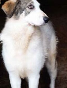 Trudi braucht deine Hilfe! - München