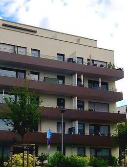Moderne 3-Raumwohnung in ruhiger Lage in Dresden - Dresden