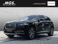 Jaguar F-Pace, D300 AWD SE Meridian, Jahr 2021 - Bayreuth