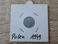 Polen 1 Grosz 1949 Münze - Unna