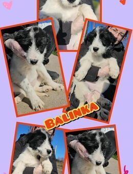 süße Balika in Not! - Nürnberg