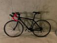 Rennrad in 4123