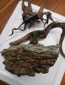 Posten Deko 2x Wurzel / 1 Stein (Gebrauchtware) 10,00€ in 09127